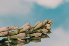 meghna-r-4-Y1IKrmiXo-unsplash